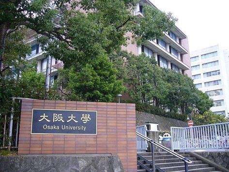 Japanese College Aesthetic, University Of Tokyo Aesthetic, Japan College Aesthetic, University In Japan, Japan University Aesthetic, Japanese University Aesthetic, Osaka Japan Aesthetic, Osaka Aesthetic, Japan University