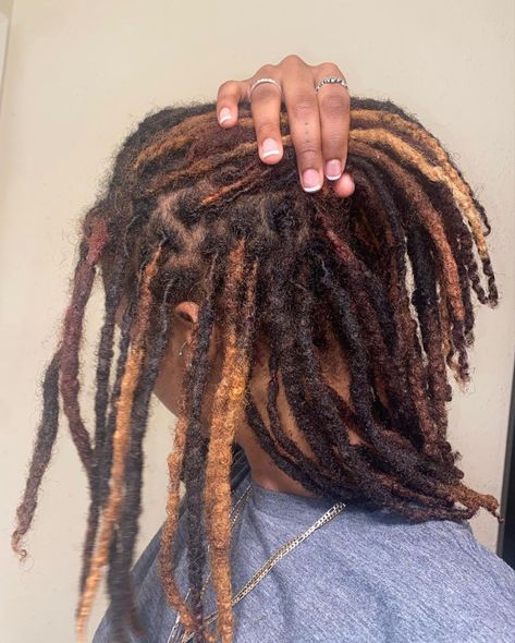 Calico Locs, Skunk Hair Dye On Locs, Dreadlock Dye Ideas For Black Women, Skunk Dyed Locs, Loc Hair Colors, Peekaboo Hair Color Locs, Highlights Locs, Dreadlocks Dyed Black Women, Died Dread Locks