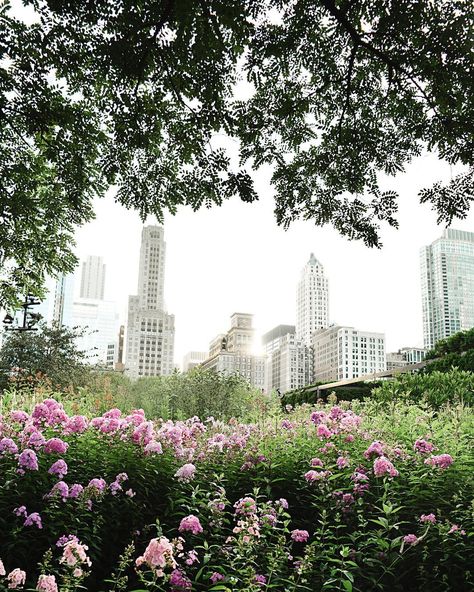 11 quiet places to meditate in Chicago Lurie Garden, Moving To Chicago, Gcse Art Sketchbook, Big Shoulders, My Kind Of Town, New Classroom, Visual Aids, Green Space, North Dakota