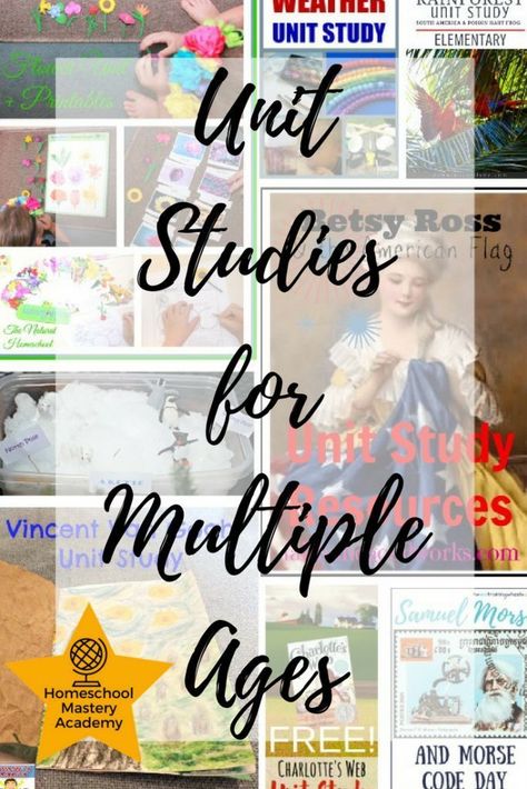 High School Humor, Homeschool Unit Studies, History Lessons For Kids, Unit Studies Homeschool, Social Studies Unit, Homeschool Social Studies, Homeschool Education, Unit Studies, Homeschool High School