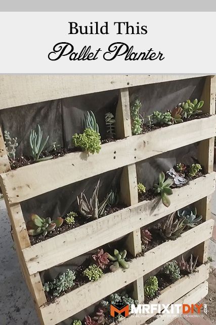 Paver Walkway Diy, Diy Vertical Garden, Vertical Pallet Garden, Pavers Diy, Herb Garden Pallet, Vertical Succulent Gardens, Pallet Projects Garden, Mr Fix It, Diy Herb Garden