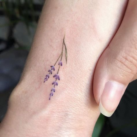 Sasha Vorobiova∣Tattoo artist on Instagram: “Miniature lavender💜” Lavender Tattoo Wrist, Small Tattoos Lavender, Lavender Tattoo Color, Minimalist Tattoo Lavender, Lavender Tattoo Meaning, Lavender Tattoo Linework, Lavender Line Art Tattoo, Lavender Tattoo Design, Lavender Flower Tattoo