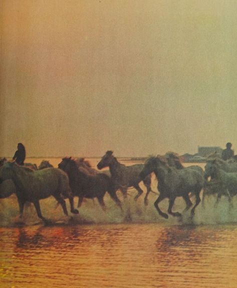 Western Sunset, 70s Western, Cowboy Aesthetic, 70s Aesthetic, Western Aesthetic, Vintage Cowboy, Vintage Horse, April 12, Ghost Rider