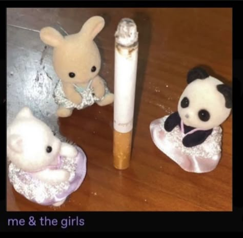 puff puff pass bitchess Family Meme, Calico Critters Families, Mini Tortillas, Sonny Angel, Sylvanian Families, Cute Memes, Just Girl Things, Just Girly Things, Reaction Pictures