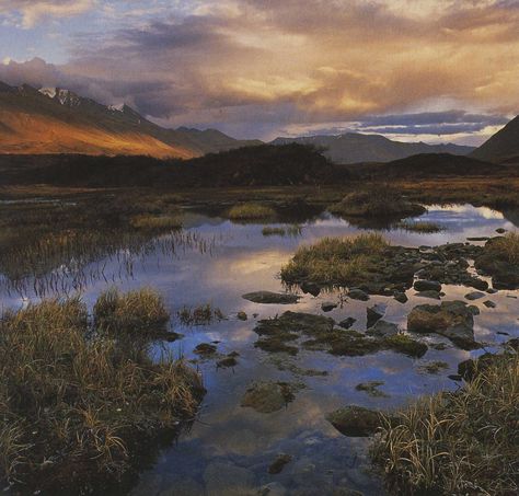 This Alaskan tundra is a fragile eco system that can easily be wiped out with the rise of global warming. Lets take care of our earth so it can take care of us. #landscape #Alaska #wilderness #ecosystem #beautiful-world #marsh #wetland #mountains #wilderness Alaska Wilderness, Alaskan Wilderness, Moving To Alaska, Eco System, North Europe, Forgotten Realms, Our Earth, Pretty Landscapes, Midnight Sun