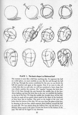 Comics Totally Free!: DOWNLOAD-Andrew Loomis - Drawing the Head and Hands[ENGLISH] Andrew Loomis, 얼굴 드로잉, Drawing Heads, Drawing Faces, Anatomy For Artists, Drawing Studies, Human Head, Anatomy Drawing, Figure Drawing Reference