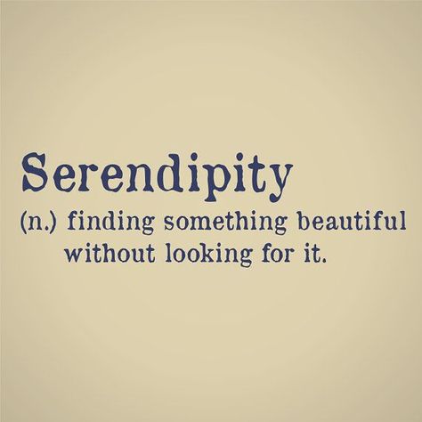 serendipity | ZsaZsa Bellagio - Like No Other Serendipity Tattoo, Pinterest Pretty, Zsazsa Bellagio, Unique Words Definitions, Uncommon Words, Weird Words, Unusual Words, Rare Words, Big Words