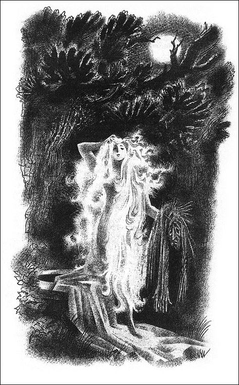 Nika Goltz, Russian Illustration, Amazing Artists, Fairytale Illustration, Arte Inspo, Fairytale Art, Black And White Illustration, Book Illustration, In The Woods