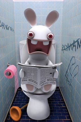 Toilettes Rabbit Invasion, Rayman Raving Rabbids, Rabbids Invasion, Baby Dolls For Toddlers, Cartoon Crazy, Fabric Poster, Game Poster, Game Pictures, Rabbit Cartoon