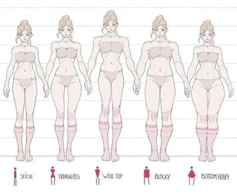 Instagram Womens Anatomy, Different Bodies Drawing, Art Body Types, Woman Body Types, Anatomy Reference Woman, Different Body Types Reference, Female Body Types Reference, Body Types Art, Body Types Drawing Reference