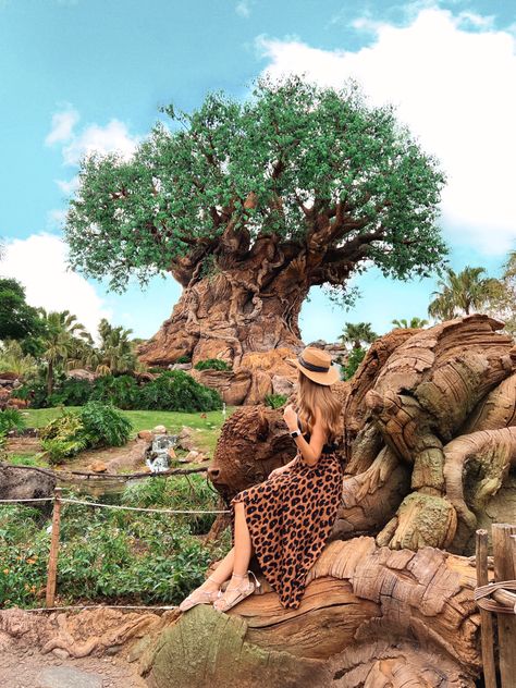 Photo ideas for disney world - Animal kingdom spots. Walt Disney world, disney's animal kingdom, animal kingdom tips, disney world tips,disney moments, disney's tree of life, tree of life animal kingdom, ideas foto animal kigdom, foto árvore da vida, look animal kingdom, outfit animal kingdom. Disney Animal Kingdom Picture Ideas, Animal Kingdom Photo Spots, Magic Kingdom Picture Ideas, Disney Animal Kingdom Photo Ideas, Disney Park Photo Ideas, Walt Disney World Photo Ideas, Animal Kingdom Photo Ideas, Animal Kingdom Picture Ideas, Disney Animal Kingdom Outfit