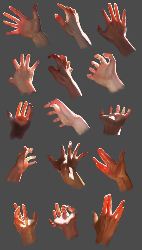 الفن الرقمي, Hand Drawing Reference, Digital Painting Tutorials, Anatomy Drawing, Anatomy Reference, Anatomy Art, Human Anatomy, Digital Art Tutorial, Drawing Reference Poses