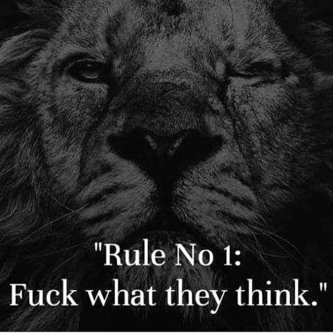 The Hustlers Club (@ThaHustlersClub) | Twitter Amish Country Pennsylvania, No Quotes, Billionaire Motivation, Nerd Fitness, Quotes Real Talk, Walk The Talk, Excellence Quotes, Gentlemans Guide, Shadow Self