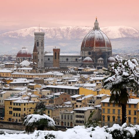 Escape to Florence this winter and experience the magic of Tuscany like never before!

Imagine leisurely visits to the Uffizi Gallery, Michelangelo’s David, and quaint piazzas lit up with festive winter lights—all with a touch of seasonal warmth and charm. 

Our tailor-made Florence holidays offer you an immersive experience at your own pace. From savouring the rich flavours of Tuscan cuisine to discovering hidden gems with our local experts, Florence is waiting to enchant you this winter. Tuscany In Winter, Florence Italy Winter Aesthetic, Florence Winter, Italy Cities, Italy Winter, Winter Lights, Christmas In Italy, Italian Life, Uffizi Gallery