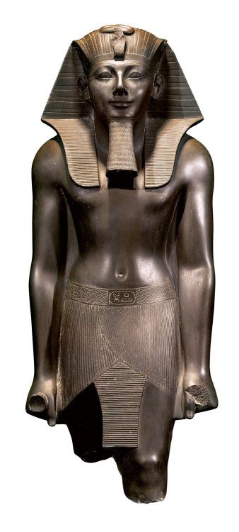 Thutmose Iii, Ancient Egyptian Statues, Egypt Museum, Egypt Culture, Cradle Of Civilization, African Royalty, Ancient Egypt Art, Egypt Art, Tutankhamun