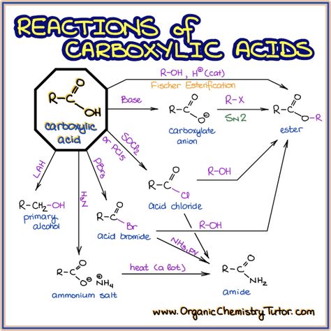 Organic Chemistry Tutor — Online Organic Chemistry Tutor Chemistry Book Pdf, Organic Chemistry Tutor, Organic Chemistry Notes, Organic Chemistry Reactions, Chemistry Class 12, Organic Chem, Organic Chemistry Study, Chemistry Study Guide, Chemistry Basics