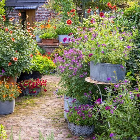 Sarah Raven at Thyme: Magnificent Pots — Thyme Small Productive Garden, Kitchen Garden Plants, Plants For Small Gardens, Garden Edging Ideas, Productive Garden, Flower Seedlings, Plants And Gardening, Sarah Raven, Perennial Bulbs