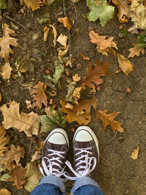 #autumn #aesthetic #converse #leaves #fallenleaves #forest #autumncolors #fall #chestnut #explorepage #creator #november Brown Converse Aesthetic, Aesthetic Converse, Converse Aesthetic, Brown Converse, Crunchy Leaves, Leaves Falling, Chaotic Academia, Crisp Air, Autumn Vibes