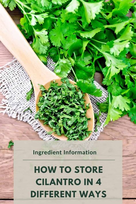 Storing Cilantro How To, How To Make Cilantro Last Longer, How To Store Fresh Cilantro, How To Freeze Cilantro, How To Store Cilantro, Cilantro Uses, Storing Cilantro, Freeze Cilantro, Spice Combos