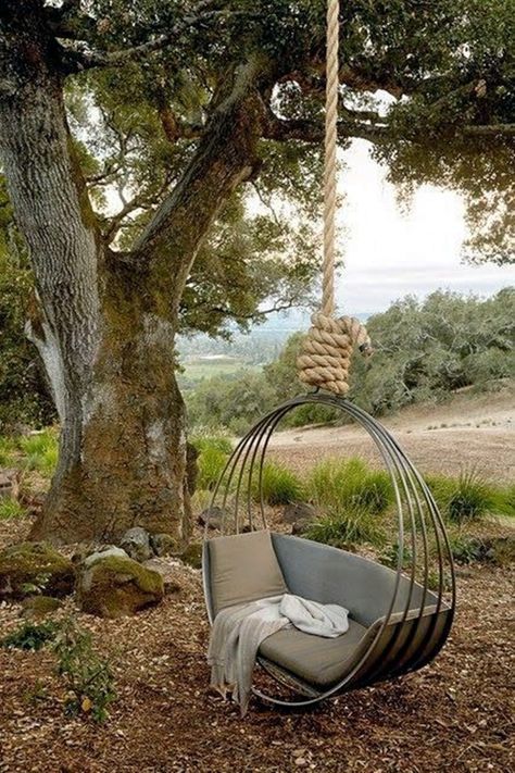 DIY Tree Swing Ideas For More Family Time (24) Mediterranean Landscaping, Tree Swing, Swing Chair, Outdoor Swing, Garden Photos, Diy Vintage, Swinging Chair, Garden Decoration, Outdoor Projects