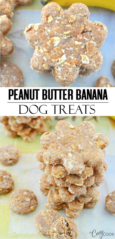 These homemade dog treats are filled with peanut butter, mashed banana, and oats! These make great gift ideas and are a fun baking activity for adults and kids! #dogtreats #kids #baking #gifts #banana #peanutbutter Dog Treats Homemade Peanut Butter, Peanut Butter Banana Dog Treats, Dog Treats Homemade Pumpkin, Banana Dog Treat Recipe, Banana Dog Treats, Pet Treats Recipes, Activity For Adults, Dog Treats Homemade Easy, Easy Dog Treat Recipes