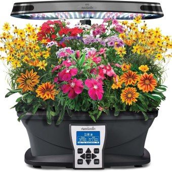 How to Grow Flowers with AeroGarden - Full Guide Growing Flowers Indoors, Countertop Garden, Aero Garden, Plants Grown In Water, Snapdragon Flowers, Vegetables Salad, Edible Seeds, Seed Kit, Salad Greens