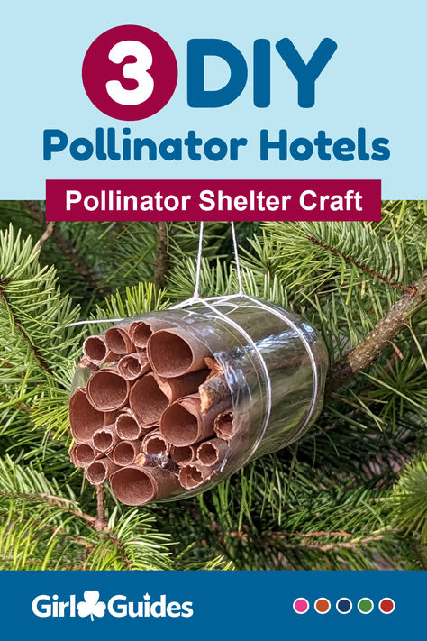 Protect pollinators! Kids will make their own pollinator hotel where helpful bugs can nest. Pollinator Crafts For Kids, Pollinator Hotel, Bugs Preschool, Bug Hotel, Citizen Science, Fun Easy Crafts, Fact Sheet, Nature Study, Girl Guides