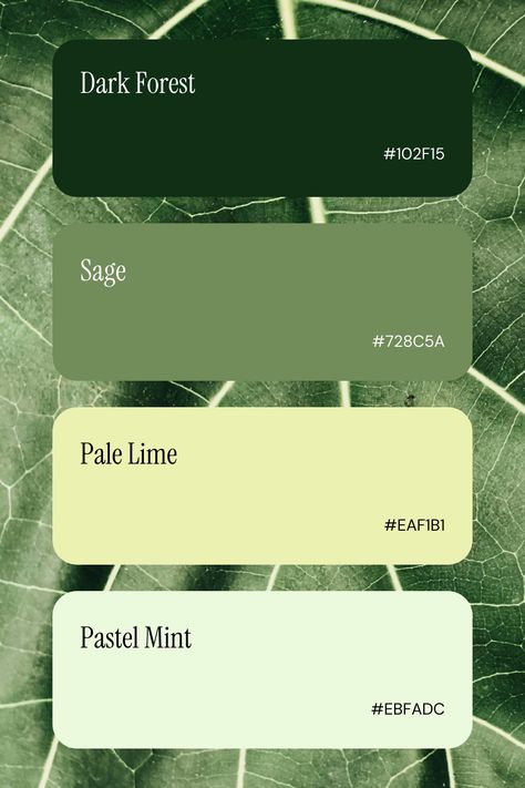 Business Color Palettes: Inspiration for Branding &amp; Web Design Green Tone Palette, Nature Green Color Palette, Natural Branding Design Color Palettes, Brand Identity Colors Green, Natural Green Color Palette, Nature Palette Color, Eco Friendly Color Palette, Sustainable Color Palette, Matcha Color Palette