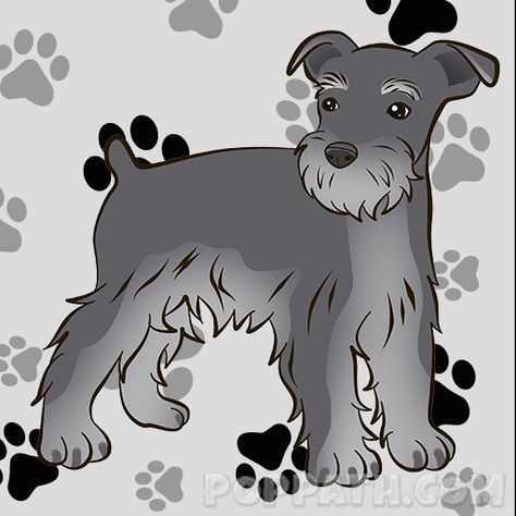 How To Draw A Schnauzer – Pop Path Schnauzer Drawing, Schnauzer Dogs, Soap Company, Cartoon Drawing, Outline Drawings, Cartoon Drawings, Scooby Doo, To Draw, Canvas Painting