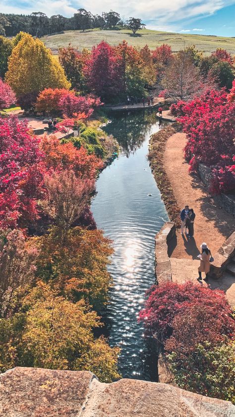 Seasons In Australia, Autumn Aesthetic Australia, Autumn In Australia, Australia Autumn, Australian Autumn, Orange Wine, Local Produce, My Travel, Wine Region