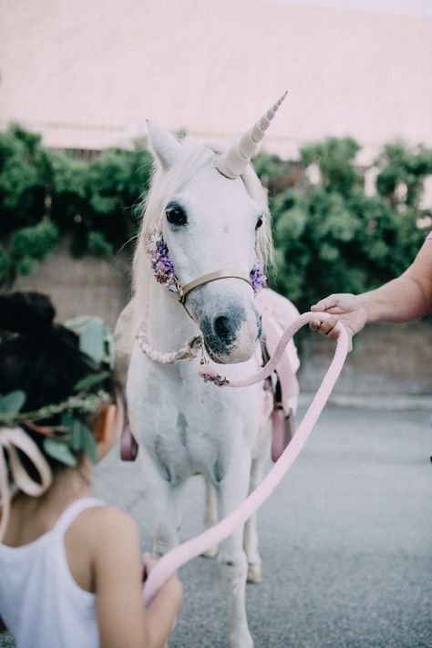 Elegant Unicorn Birthday Party, Whimsical Unicorn Party, Pony Photoshoot, Boho Unicorn, Unicorn Birthday Party Ideas, Party Decorations Pink, Party Like Gatsby, Carousel Party, Carousel Birthday