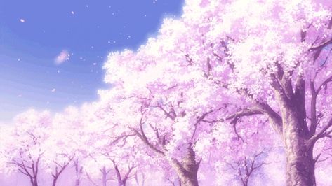 Humans are a new evolving species in this animal world. Cherryton has… #fanfiction #Fanfiction #amreading #books #wattpad Gif Kawaii, Anime Cherry Blossom, Gif Background, Anime Places, Youtube Banner Backgrounds, Kawaii Background, Sakura Tree, Anime Gifs, Desktop Wallpapers Backgrounds