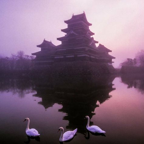 Matsumoto Castle, Samurai Japan, Shades Of Violet, Japan Aesthetic, Samurai Art, Japan Photo, Black Exterior, Jolie Photo, Amazing Places