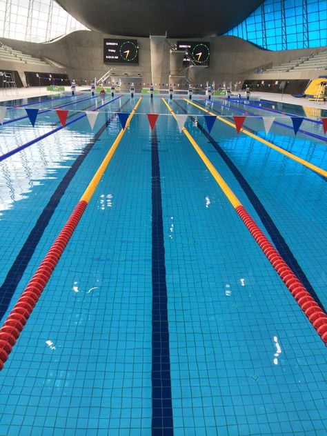 The early bird gets lane 5 all to himself. The London Aquatics Centre. Olympic Competition Pool. Swimming Pics, Olympic Swimming Pool, London Aquatics Centre, Olympic Pool, Swimming Photography, Swimming Motivation, Swim Instructor, Swimmers Life, Board Pictures