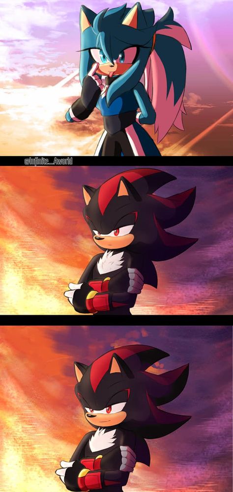 Shadow And Rouge, Sonic Dash, Sonic Sonic, Maria Rose, Sonic Heroes, Silver The Hedgehog, Sonic Funny, Sonic Fan Characters, Sonic Franchise