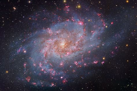 Triangulum Galaxy, Pinwheel Galaxy, Scale Of The Universe, Star Clusters, Astronomy Pictures, Child Of The Universe, Galaxy Planets, Galaxy Images, Planets And Moons