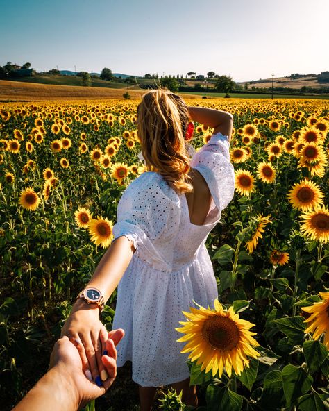 Sunflower Field Photography, Sunflower Field Pictures, Sunflower Photography, Sunflower Photo, Flower Photoshoot, Sunflower Pictures, Have Inspiration, Fields Photography, Sunflower Fields