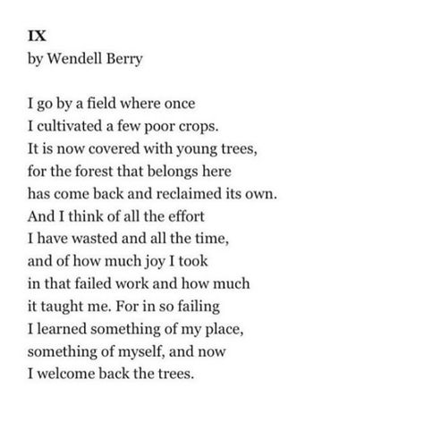 Wendell Berry Poetry, Wendell Berry Poems, Tlingit Raven, Wendell Berry Quotes, Nature Therapy, Wendell Berry, Poem A Day, Wise People, Best Poems