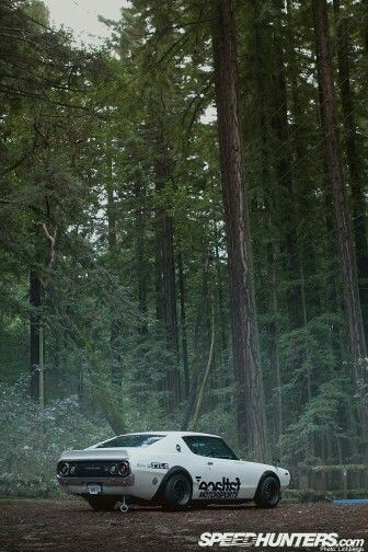 Kenmeri Car In Forest, Japanese Sports Cars, Japanese Domestic Market, Nissan Skyline Gt, Porsche 964, Datsun 240z, Nissan Gtr Skyline, Nissan Skyline Gtr, Skyline Gtr