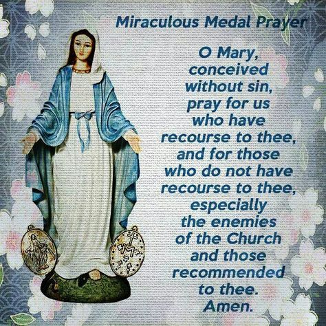 Prayers Afternoon Prayer, Catholic Prayers Daily, Blessed Mary, Novena Prayers, Miracle Prayer, Good Night Prayer, Divine Mother, Blessed Mother Mary, Beautiful Prayers