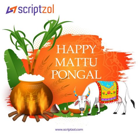 May the sweetness of celebrations of Mattu Pongal is always there to fulfil your life with happiness that lasts forever. Wishing a very Happy Pongal to you.🎉🥳 #HappyPongal #Pongal2023 #HappyMattuPongal #MattuPongal2023 #Celebration #mattu #tamilnadu #pongalopongal #tamilfestival #traditional #sweets #indianfestival #tamilans #happymattupongal #scriptzol #scriptzolteam Happy Mattu Pongal, Mattu Pongal, Pongal Wishes, Pongal Festival, Traditional Sweets, Happy Pongal, Indian Festivals, Very Happy, Festival