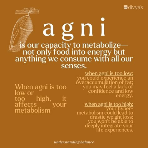 Do you know the basics of Agni? This ancient concept has been used to understand balance in Ayurvedic practice for centuries. Learn more about the importance of Agni and how it can be applied to your everyday life - and to dig even deeper, check out @divyaalter Masterclass on the Basics of Ayurvedic Cooking (link in our bio) #ayurveda #balance #agni #holisticlifestyle Ayurveda Food, Yoga Terms, Health Manifestation, Ayurveda Kapha, Polarity Therapy, Ayurvedic Therapy, Ayurveda Recipes, Ayurveda Life, Ayurveda Lifestyle