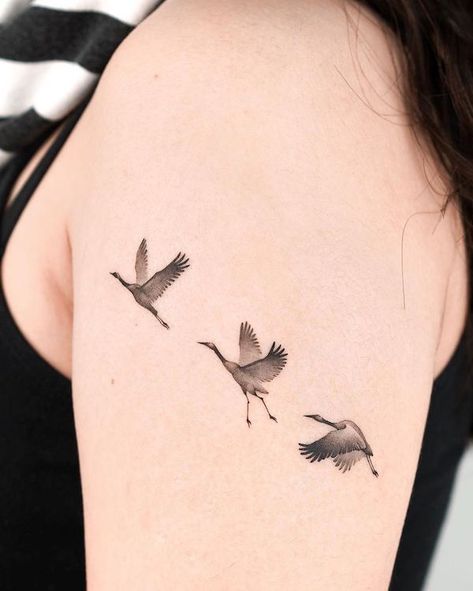 The Beauty Of Black - Tattooist Choiyun Interview - Our Mindful Life Cranes Tattoo, Heron Tattoo, Simple Line Tattoo, Tiny Bird Tattoos, Swan Tattoo, Tattoo Samples, Crane Tattoo, Hawk Tattoo, Create A Tattoo