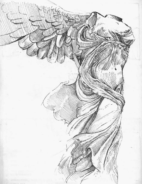 Nike, Winged Victory Nike Drawing, Victory Tattoo, Underglaze Designs, Winged Victory Of Samothrace, Winged Victory, Face Structure, Tattoo New, Dragon Tattoo Designs, Greek Sculpture