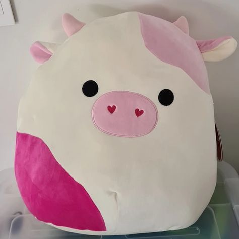 Caedyn the Cow is a pink Squishmallow from the Valentine Squad. Do you like apple pies and movie nights? So does Caedyn! She loves baking pies and watching scary movies, especially for a movie marathon. She loves a monster movie with a side of fresh pie. Would you like to join her? Caedyn is a mostly white cow with patches of pink. She has a hot pink patch on her lower left side and a pale pink patch over her right ear. She has small, triangular pink horns and round black eyes. Her left ear has Pink Squishmallow, Baking Pies, Monster Movie, Cow Colour, Pink Patch, Cute Squishies, Apple Pies, Pink Cow, White Cow