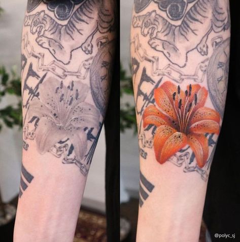 Tiger Lily Flowers, Tiger Lily Tattoos, Bts Tattoos, Friendship Tattoos, Lily Tattoo, Tattoo Cover, Tattoo Cover-up, 1 September, S Tattoo