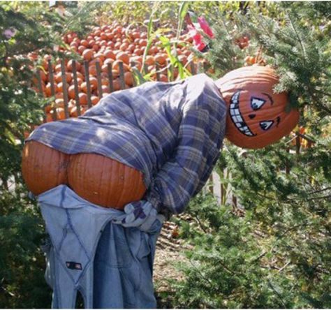 Scarecrows For Garden, Hair Color Spray, Garden Inspired, Autumn Garden, Diy Garden Decor, Funny Pics, Scarecrow, Yard Art, Fall Halloween