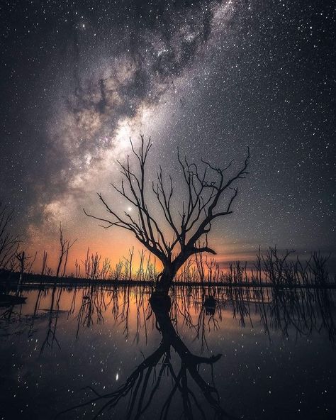 Nightscape Photography, Night Moon And Stars, Soothing Images, Milky Way Photography, Land Scapes, Sky Lights, Space Nebula, Dream Landscape, Planets Wallpaper