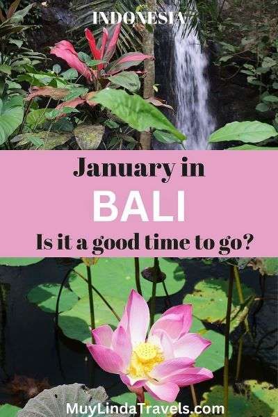 Bali In November, Bali In October, Bali In January, 3 Weeks In Bali, Planning A Trip To Bali, Cheap Beach Vacations, Asian Travel, Usa Beaches, Spring Break Trips