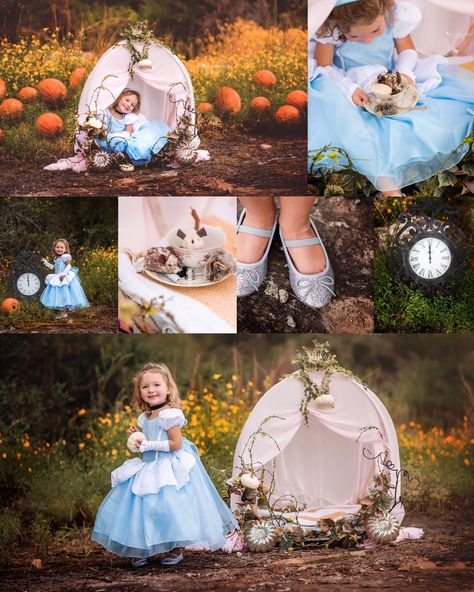 Princess Birthday Photoshoot Photo Ideas, Disney Theme Photoshoot, Cinderella Baby Photo Shoot, Cinderella Photoshoot Ideas, Photo Sessions Ideas, Iron Dog Bed, Disney Princess Photoshoot, Cinderella Photoshoot, Disney Photoshoot